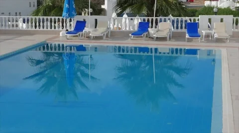 Deckchairs side of a swimming pool with palm trees reflection in the clear blue Stock Footage 61750297
