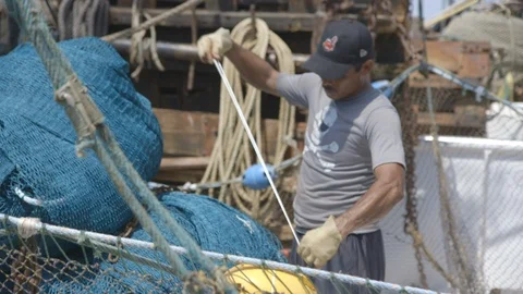 Deckhand working on shrimp boat Vidéo 104881666