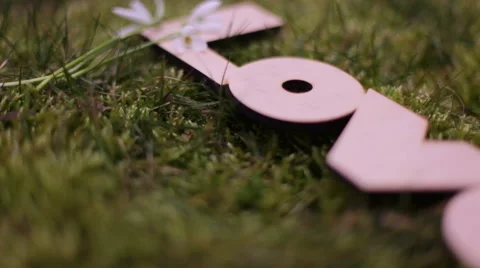 Declaration of love Stock Footage 47413947