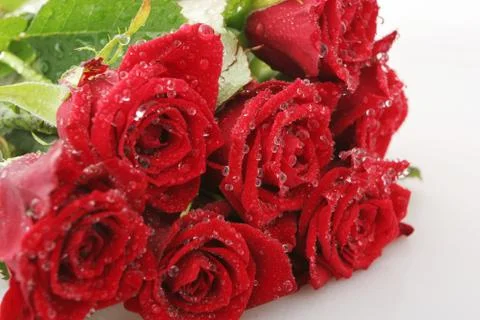 Declaration of love Stock Photos