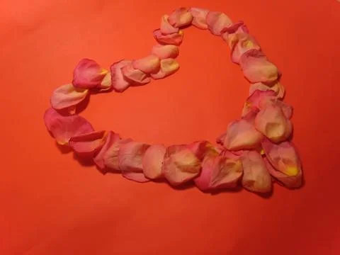 Declaration of love with rose petals 写真素材