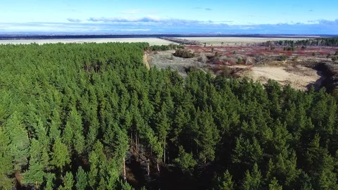 Decline along the forest Stock Footage 99698465