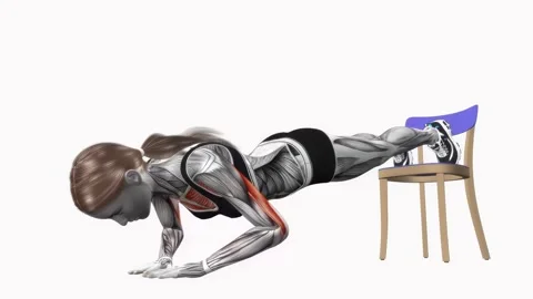 Decline chair push up diamond exercise fitness workout animation female muscle Video stock 227560386