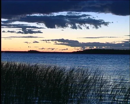 Decline Видео 573208