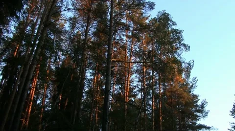 Decline Stock Footage 18184280