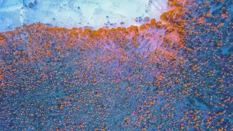 The decline from a height above the winter forest. Watercolor illustration. W Ilustração Stock