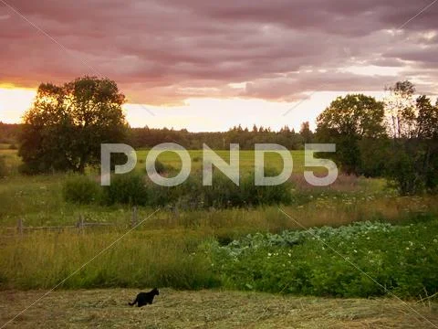 Decline over wood Stock Photos