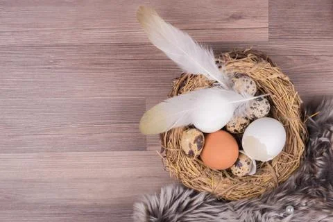 Deco easter nest basket with eggs feathers on wooden background. Beautiful de Stock Photos