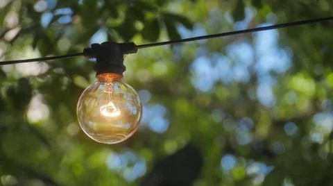 Decocrative suspended light bulb with green background 스톡 사진