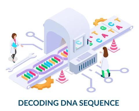Decoding dna sequence concept.  Stock Illustration