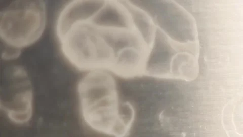 Decoding Nature's Blueprint: Microscopic Analysis of Mineral Structures Stock Footage 266947023