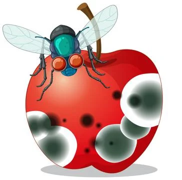 Decompose apple with smiley flies Stock Illustration