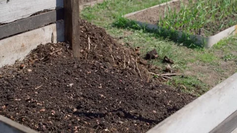 Decomposed dark vermicompost in wooden compost bin close-up Vídeos de archivo 337544718