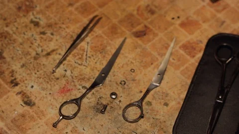 Decomposing and free hand sharpening of hairdresser scissors Vidéo 106369164