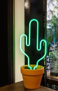 Decor cactus in pot. Foto stock