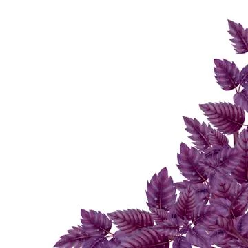 Decor for corner of leaves Basil Stock Illustration