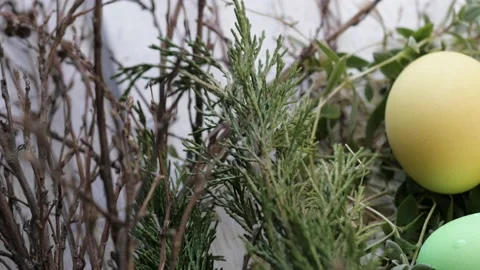 Decor of Easter eggs in the form of a nest. colorful eggs for easter holiday Stock-Footage 147834232