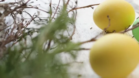 Decor of Easter eggs in the form of a nest. colorful eggs for easter holiday Stock-Footage 147900952