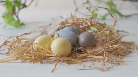 Decor of Easter eggs in the form of a nest.  Stock Footage 150124421