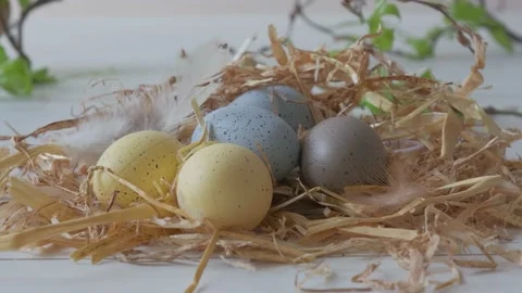 Decor of Easter eggs in the form of a nest.  Stock Footage 150124422