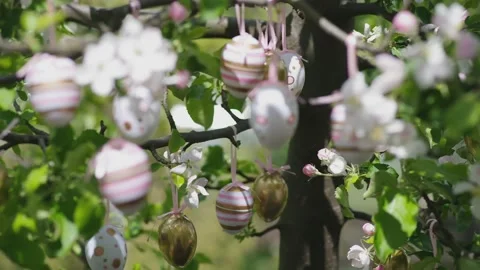 Decor eggs on flowering apple branches on a tree in a garden or park Video stock 200913638