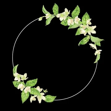 Decor element with jasmine in a shape of a ring with decoration of branches w Stock Illustration