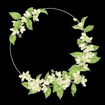 Decor element with jasmine in a shape of a ring with decoration of branches w Illustrazione stock