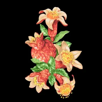 Decor element with pomegranate branch in vector Stock Illustration