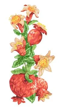 Decor element with pomegranate branch in vector Stock-Illustration