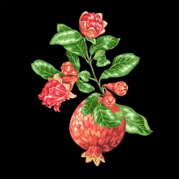 Decor element in vector with branch with blooming flowers Stock Illustration