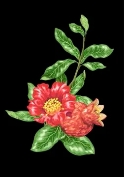 Decor element in vector with branch with blooming flowers Stock Illustration