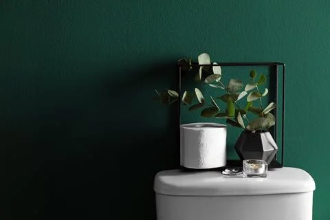 Decor elements and paper roll on toilet tank near green wall, space for text. Stock Photos