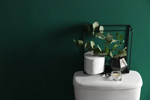 Decor elements and paper roll on toilet tank near green wall, space for text. Stock Photos