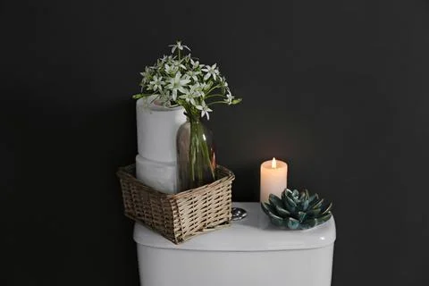 Decor elements and paper rolls on toilet tank near black wall. Bathroom inter Stock Photos