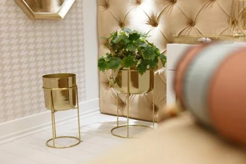 Decor elements in the bedroom. Two golden flower bowls, one houseplant growin Stock Photos