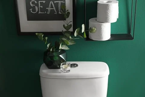 Decor elements, paper rolls and toilet bowl near green wall. Bathroom interio Stock Photos