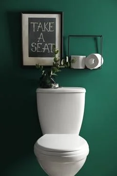 Decor elements, paper rolls and toilet bowl near green wall. Bathroom interio Stock Photos