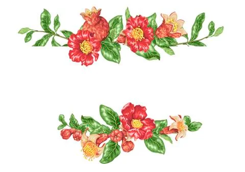 Decor elements in vector with pomegranate fruit branches 스톡 일러스트