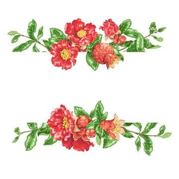 Decor elements in vector with pomegranate fruit branches Stock Illustration