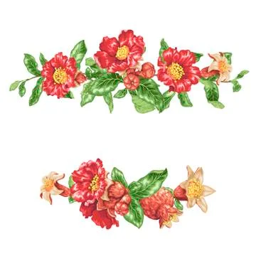 Decor elements in vector with pomegranate fruit branches Stock Illustration