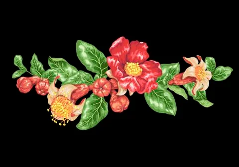 Decor elements in vector with pomegranate fruit branches Stock Illustration