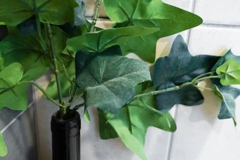 The decor of the interior. Plastic flower in a bottle. Green leaves. Dead flo Stock Photos