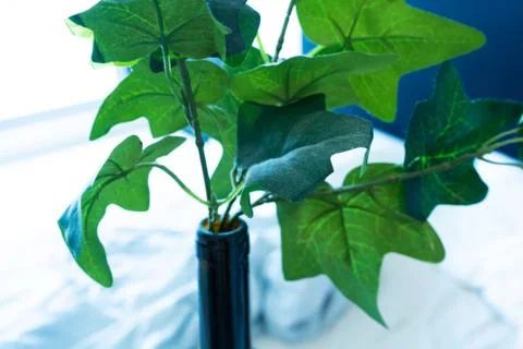 The decor of the interior. Plastic flower in a bottle. Green leaves. Dead flo Stock Photos