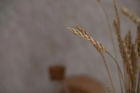 Decor in the kitchen. Stock Photos