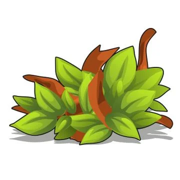 The decor of the leaves of the tree isolated on white background. Vector cartoon Stock Illustration