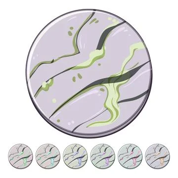 Decor marble coaster cartoon vector graphic Stock Illustration
