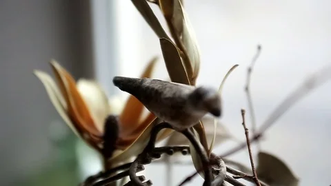 Decor in a photo studio, bird on a branch, close-up Stock Footage 85642765