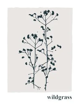 Decor printable art. Hand drawn vector illustrations of wild grasses Stock Illustration