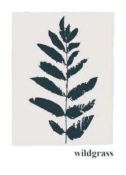 Decor printable art. Hand drawn vector illustrations of wild grasses Stock Illustration