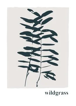 Decor printable art. Hand drawn vector illustrations of wild grasses Stock Illustration